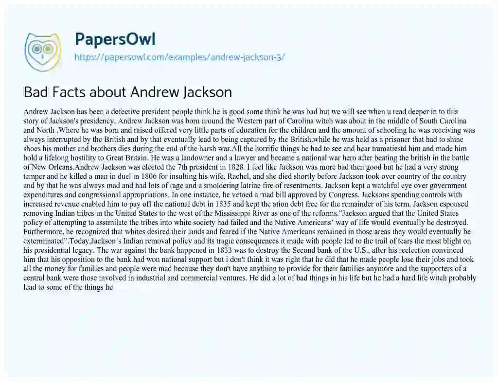 Essay on Bad Facts about Andrew Jackson