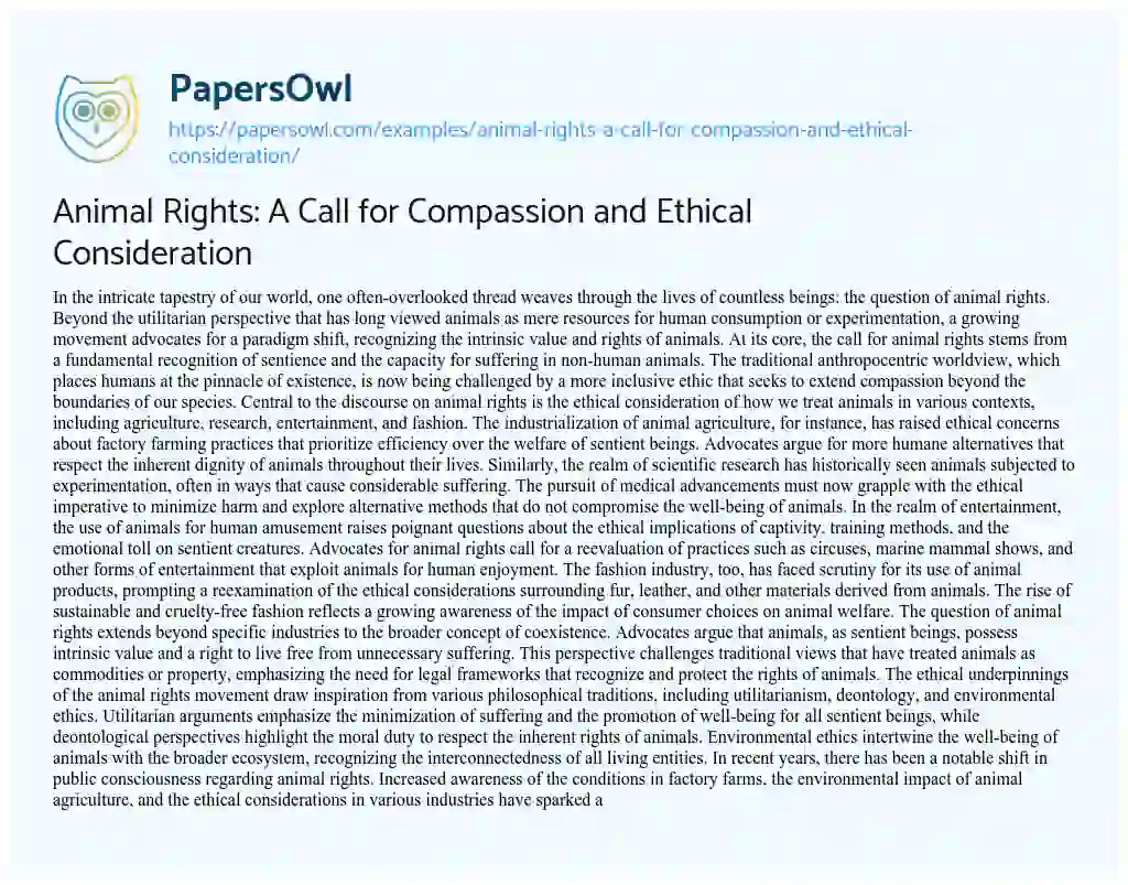 Essay on Animal Rights: a Call for Compassion and Ethical Consideration