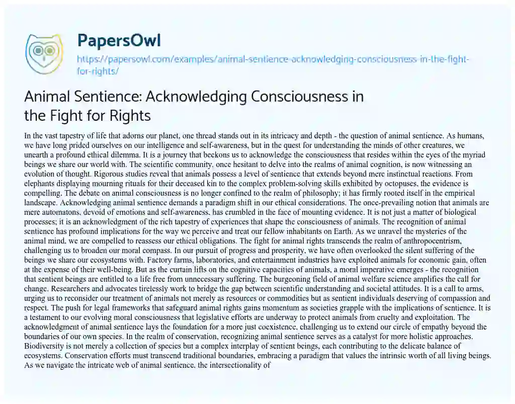 Essay on Animal Sentience: Acknowledging Consciousness in the Fight for Rights