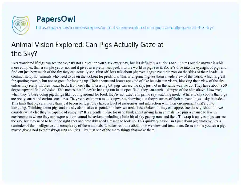 Essay on Animal Vision Explored: Can Pigs Actually Gaze at the Sky?