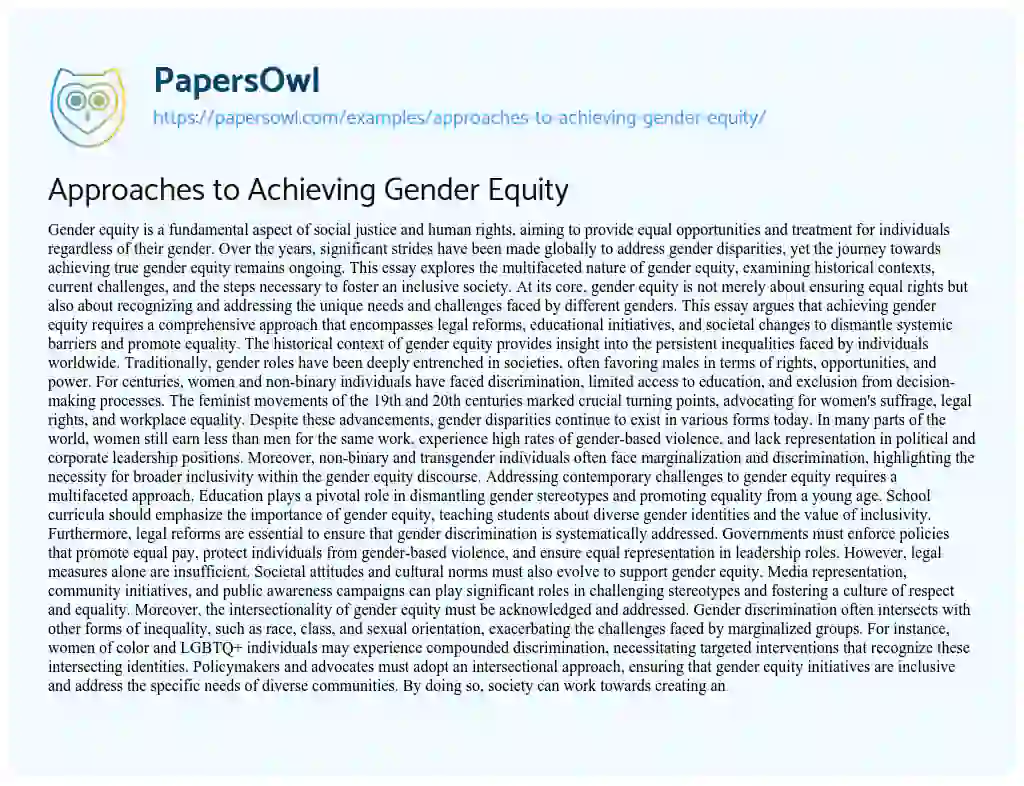 Essay on Approaches to Achieving Gender Equity