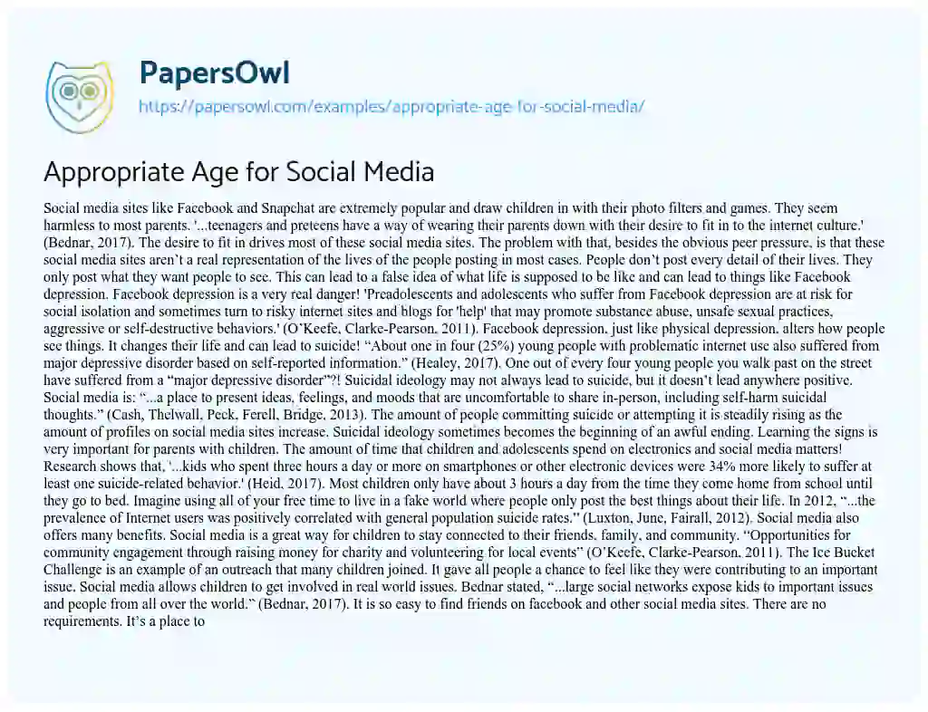 Essay on Appropriate Age for Social Media