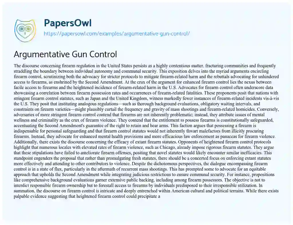 Essay on Argumentative Gun Control