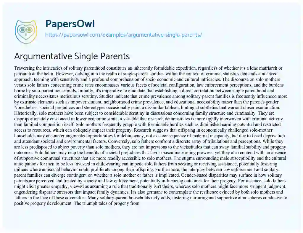 Essay on Argumentative Single Parents