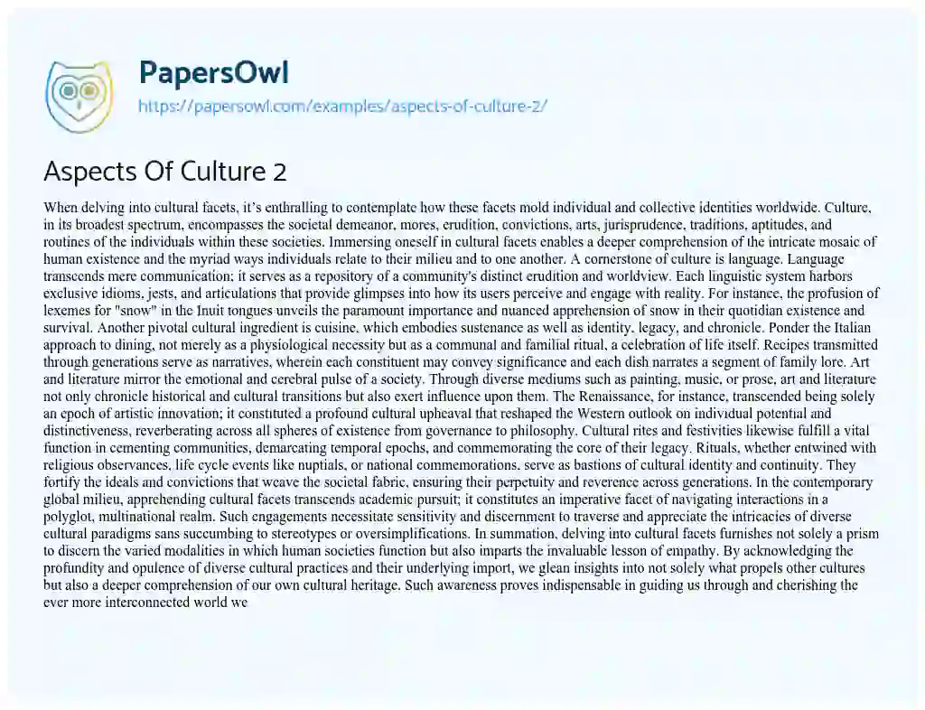 Essay on Aspects of Culture 2