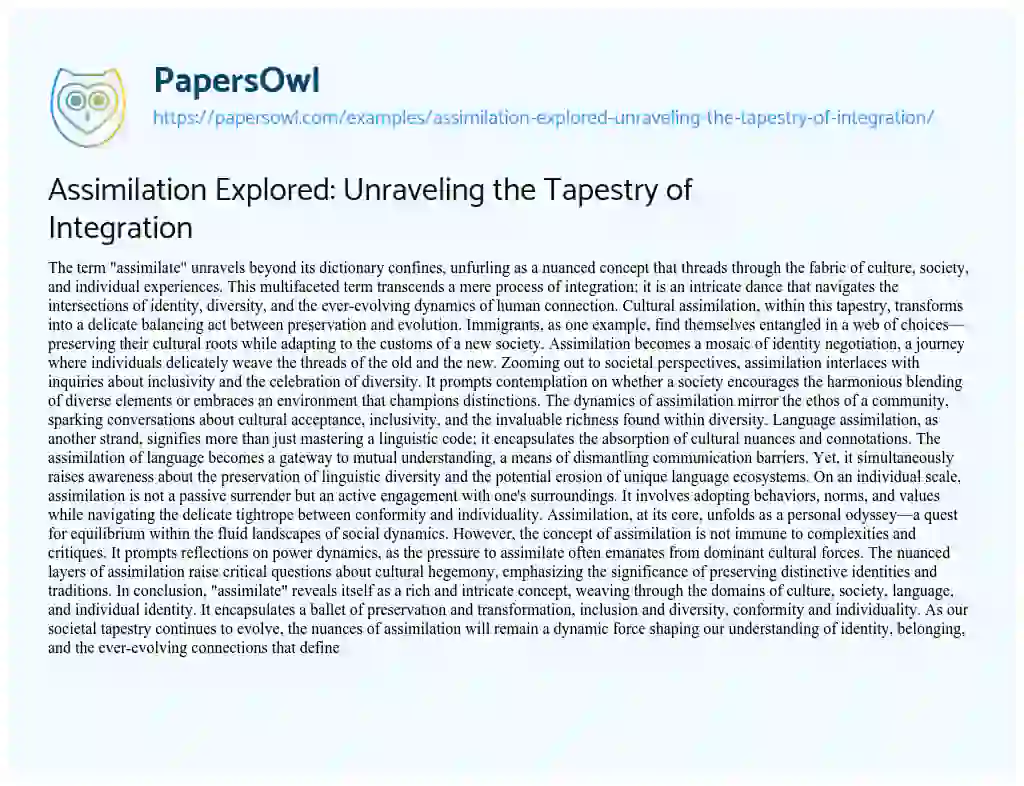 Essay on Assimilation Explored: Unraveling the Tapestry of Integration