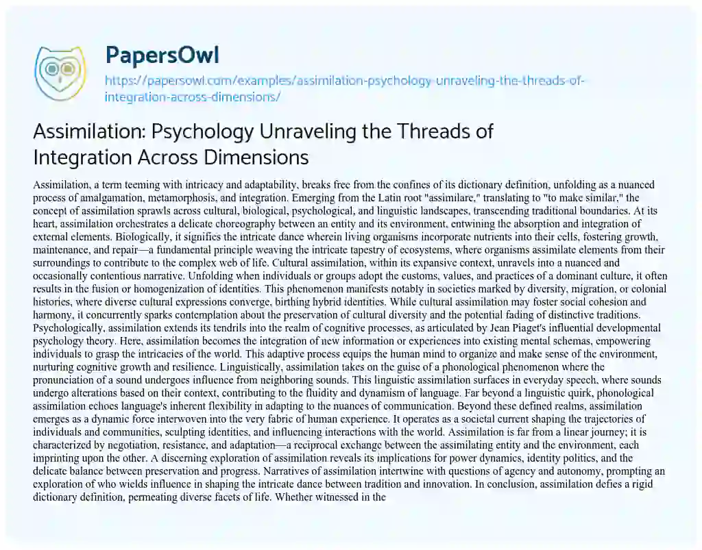 Essay on Assimilation: Psychology Unraveling the Threads of Integration Across Dimensions