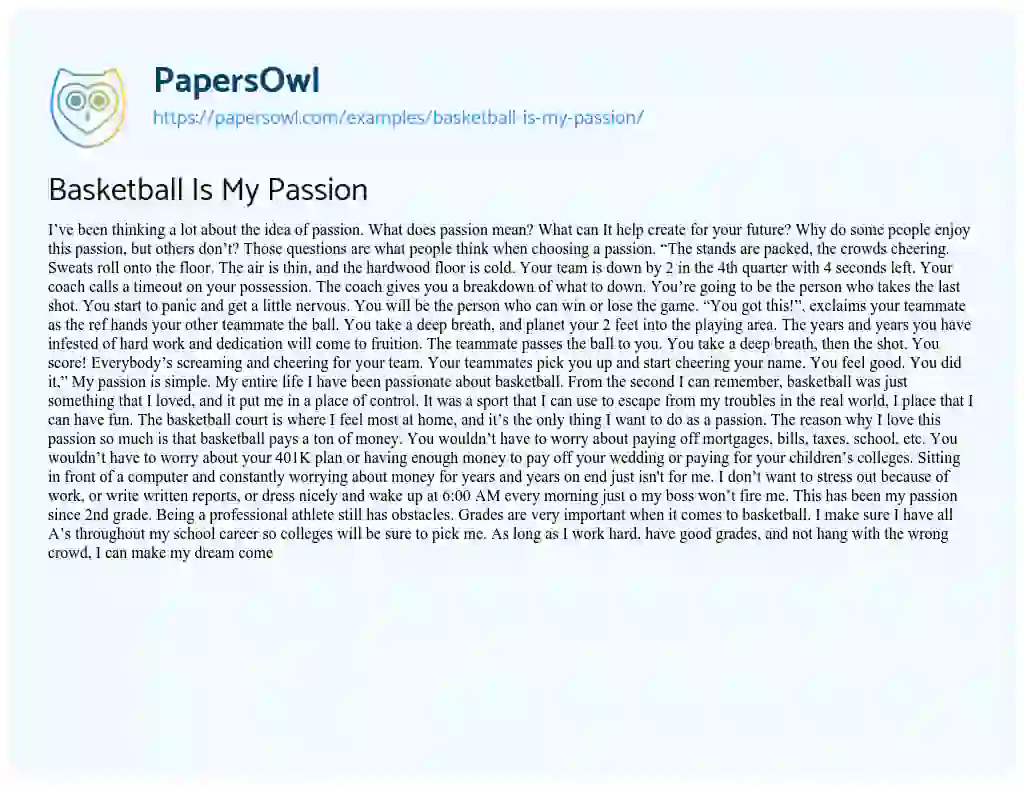 Essay on Basketball is my Passion