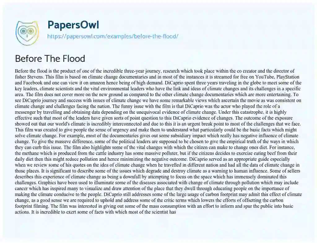 Essay on Before the Flood