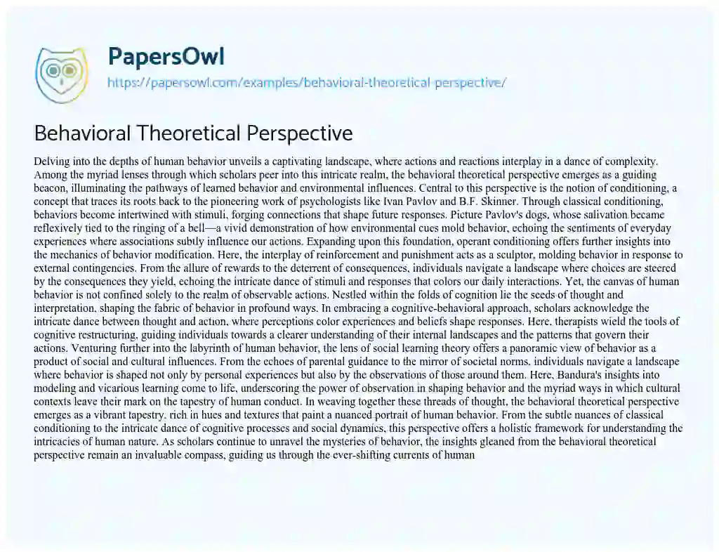 Essay on Behavioral Theoretical Perspective