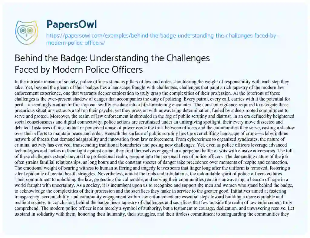 Essay on Behind the Badge: Understanding the Challenges Faced by Modern Police Officers