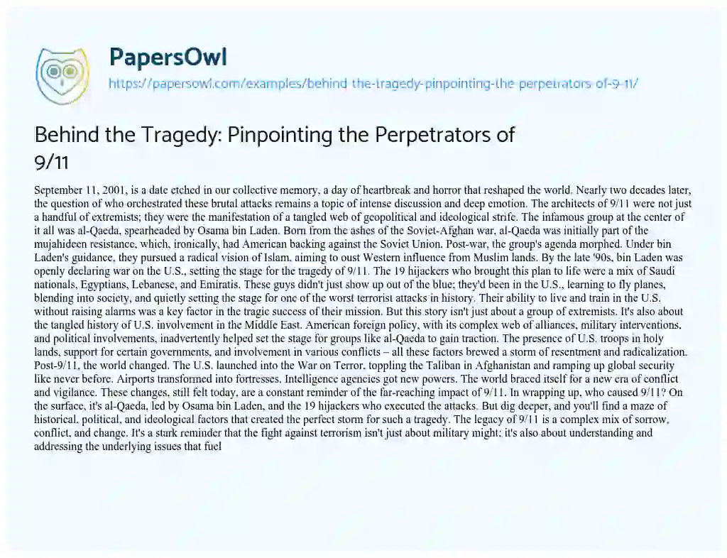Essay on Behind the Tragedy: Pinpointing the Perpetrators of 9/11