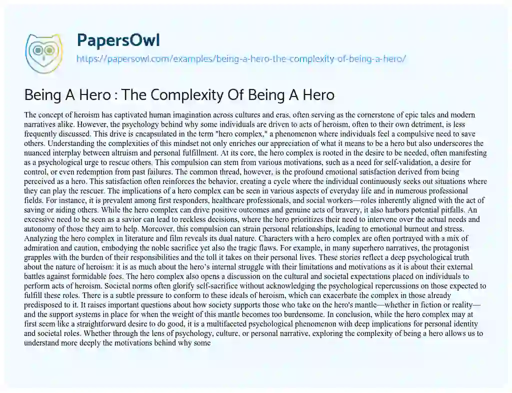 Essay on Being a Hero : the Complexity of being a Hero
