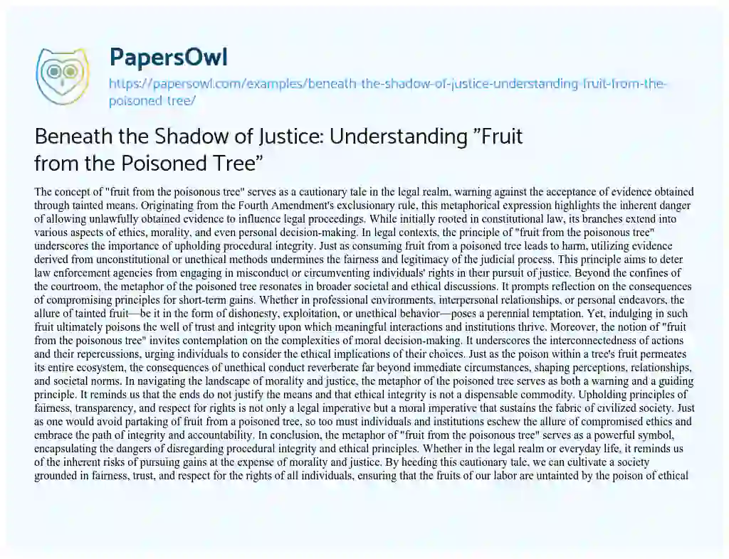 Essay on Beneath the Shadow of Justice: Understanding “Fruit from the Poisoned Tree”