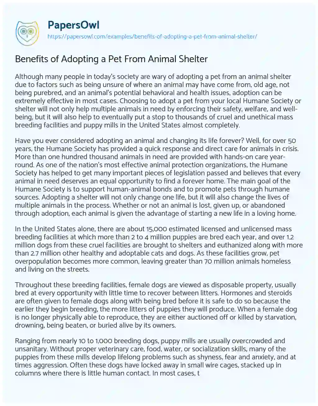 Essay on Benefits of Adopting a Pet from Animal Shelter