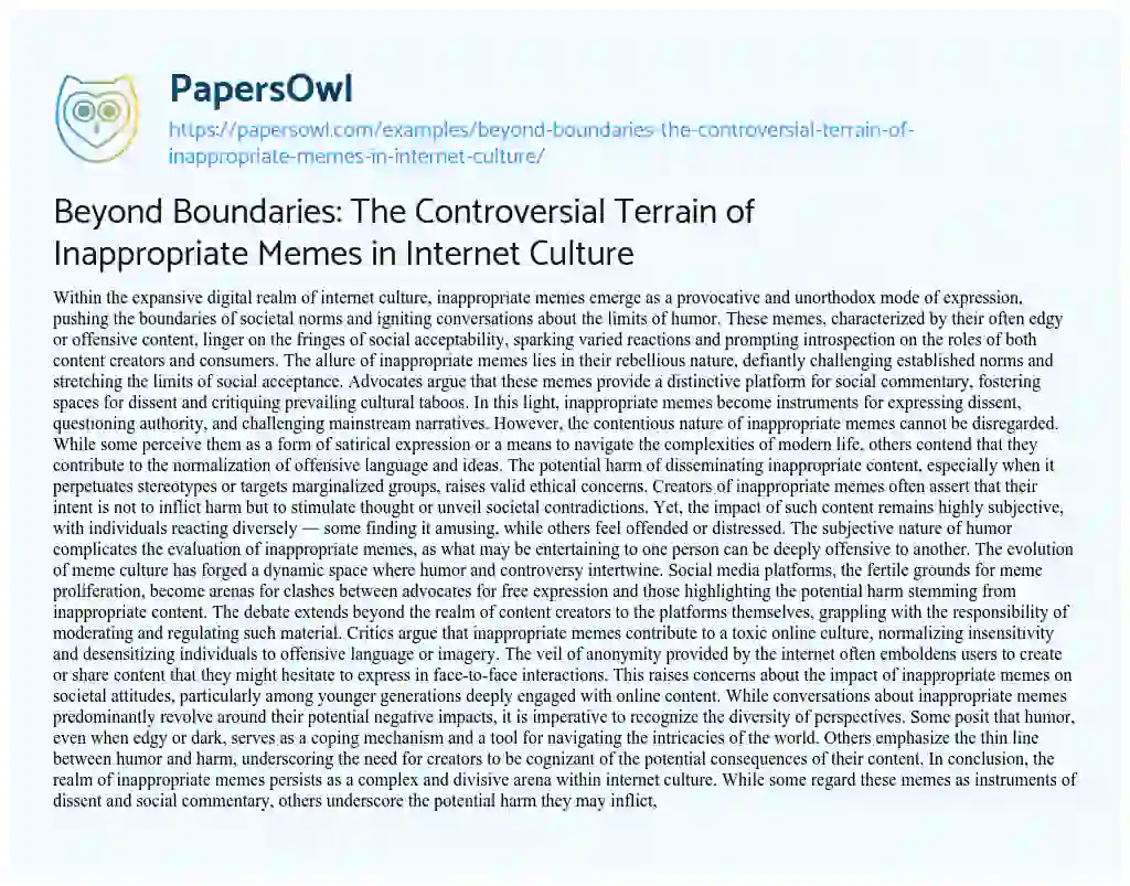 Essay on Beyond Boundaries: the Controversial Terrain of Inappropriate Memes in Internet Culture