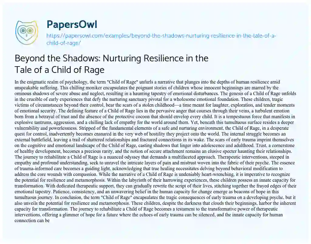 Essay on Beyond the Shadows: Nurturing Resilience in the Tale of a Child of Rage