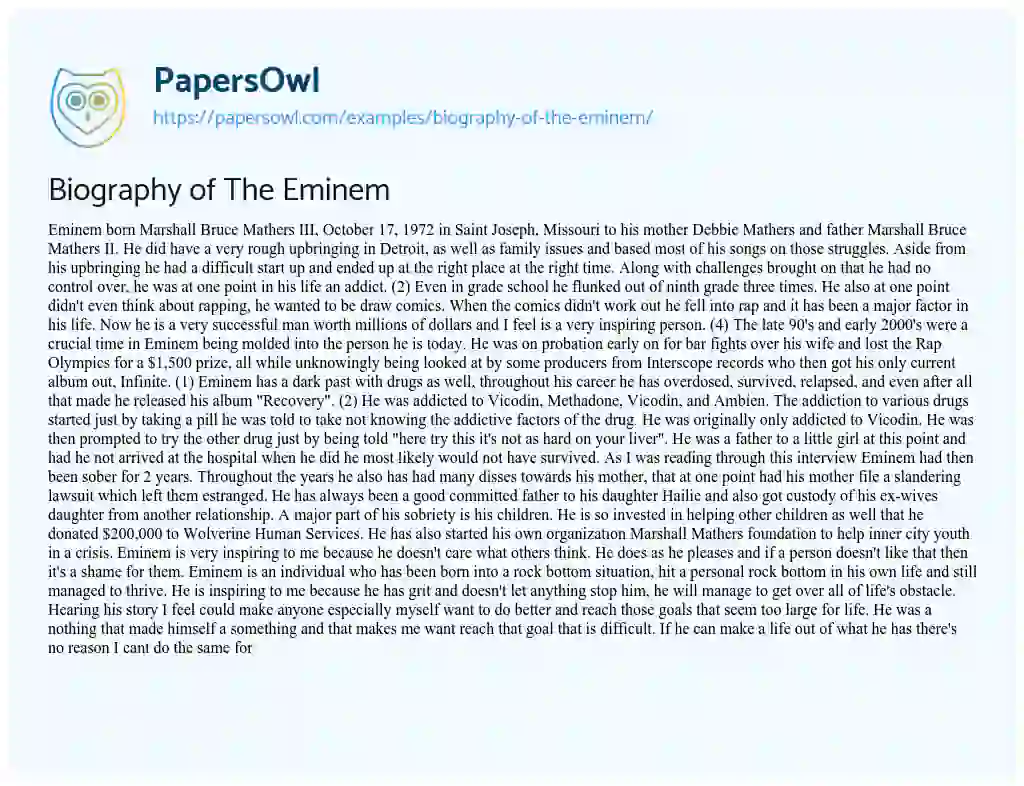 Essay on Biography of the Eminem