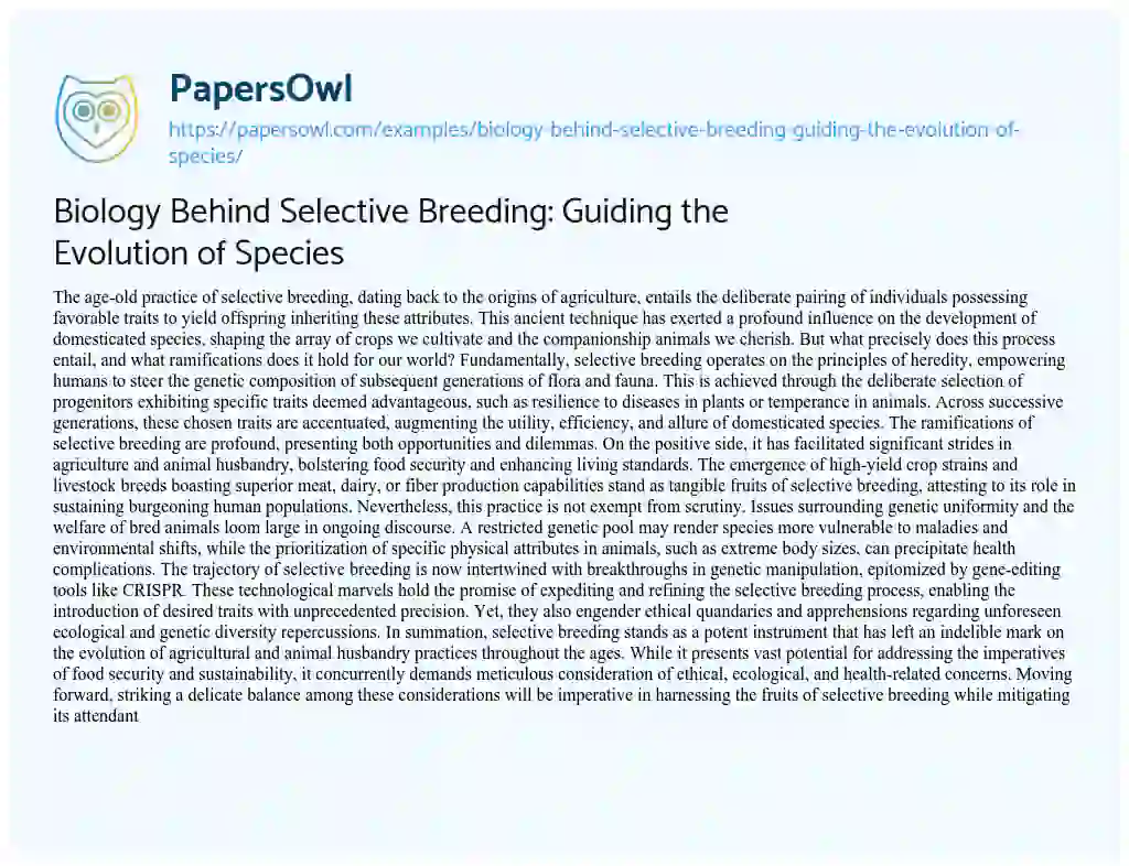 Essay on Biology Behind Selective Breeding: Guiding the Evolution of Species
