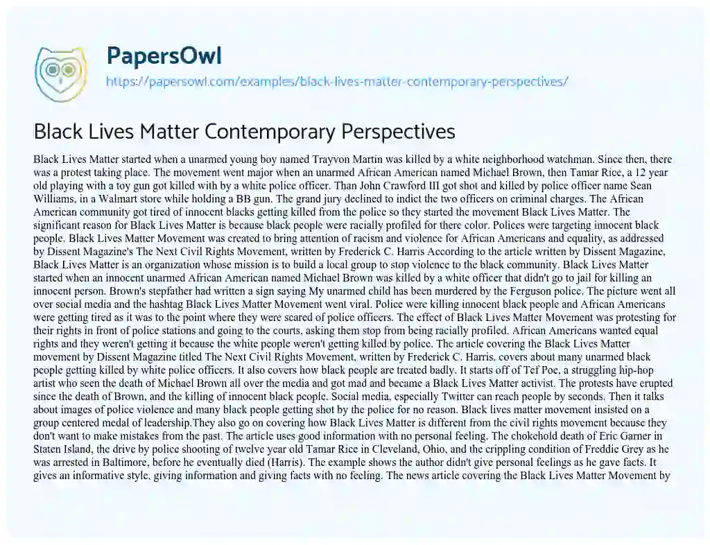 Essay on Black Lives Matter Contemporary Perspectives