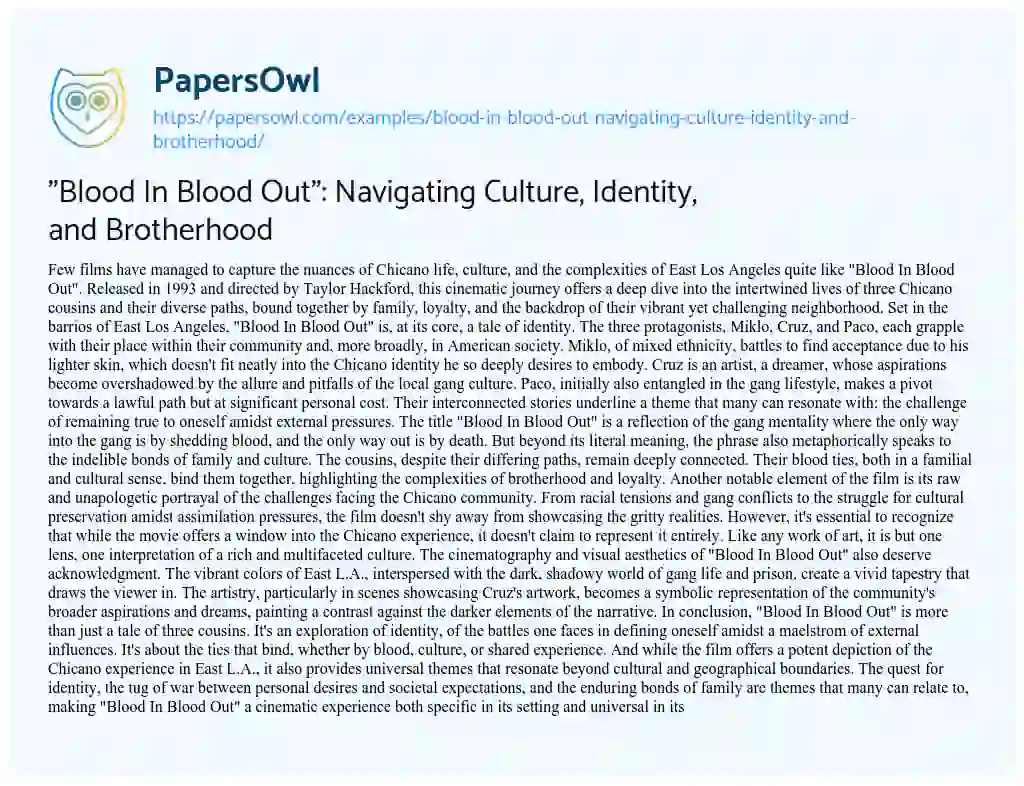 Essay on “Blood in Blood Out”: Navigating Culture, Identity, and Brotherhood