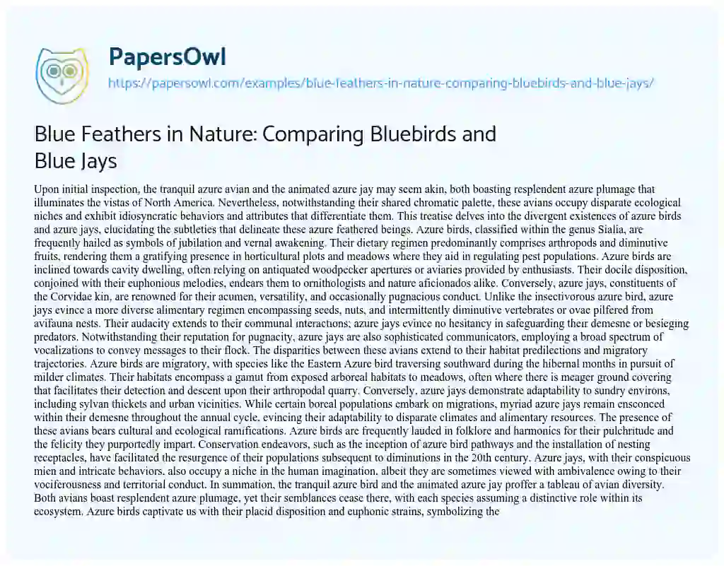 Essay on Blue Feathers in Nature: Comparing Bluebirds and Blue Jays