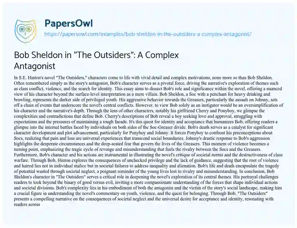 Essay on Bob Sheldon in “The Outsiders”: a Complex Antagonist