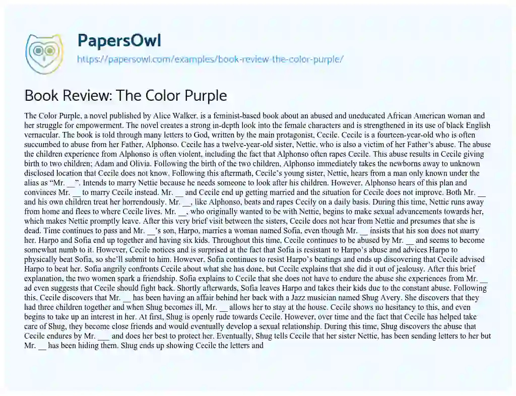 Essay on Book Review: the Color Purple