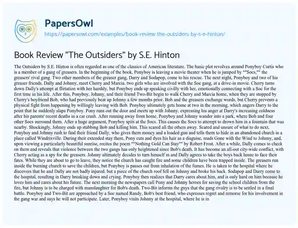 Essay on Book Review “The Outsiders” by S.E. Hinton