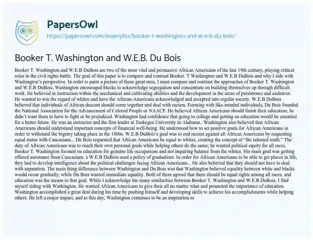 Essay on Booker T. Washington and W.E.B. Du Bois