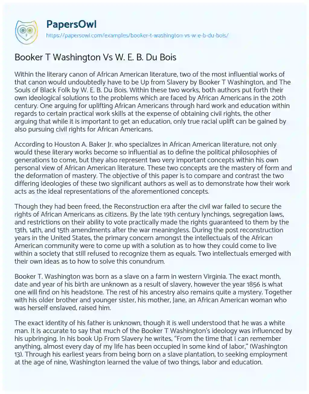 Booker T Washington Vs W. E. B. Du Bois essay