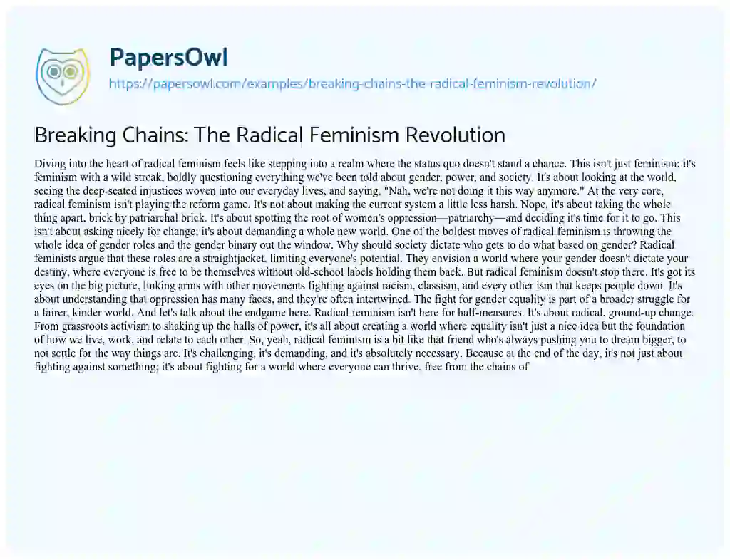 Essay on Breaking Chains: the Radical Feminism Revolution