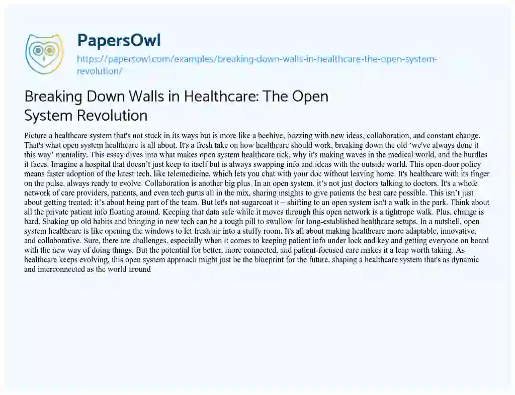 Essay on Breaking down Walls in Healthcare: the Open System Revolution