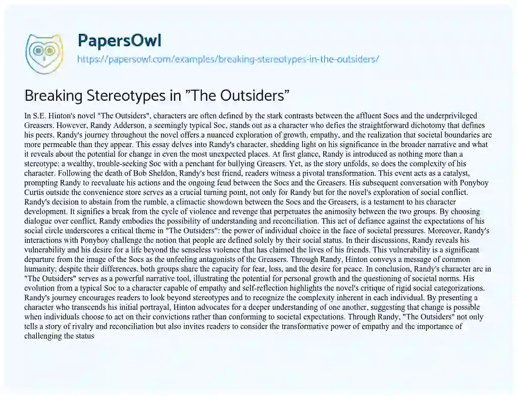 Essay on Breaking Stereotypes in “The Outsiders”