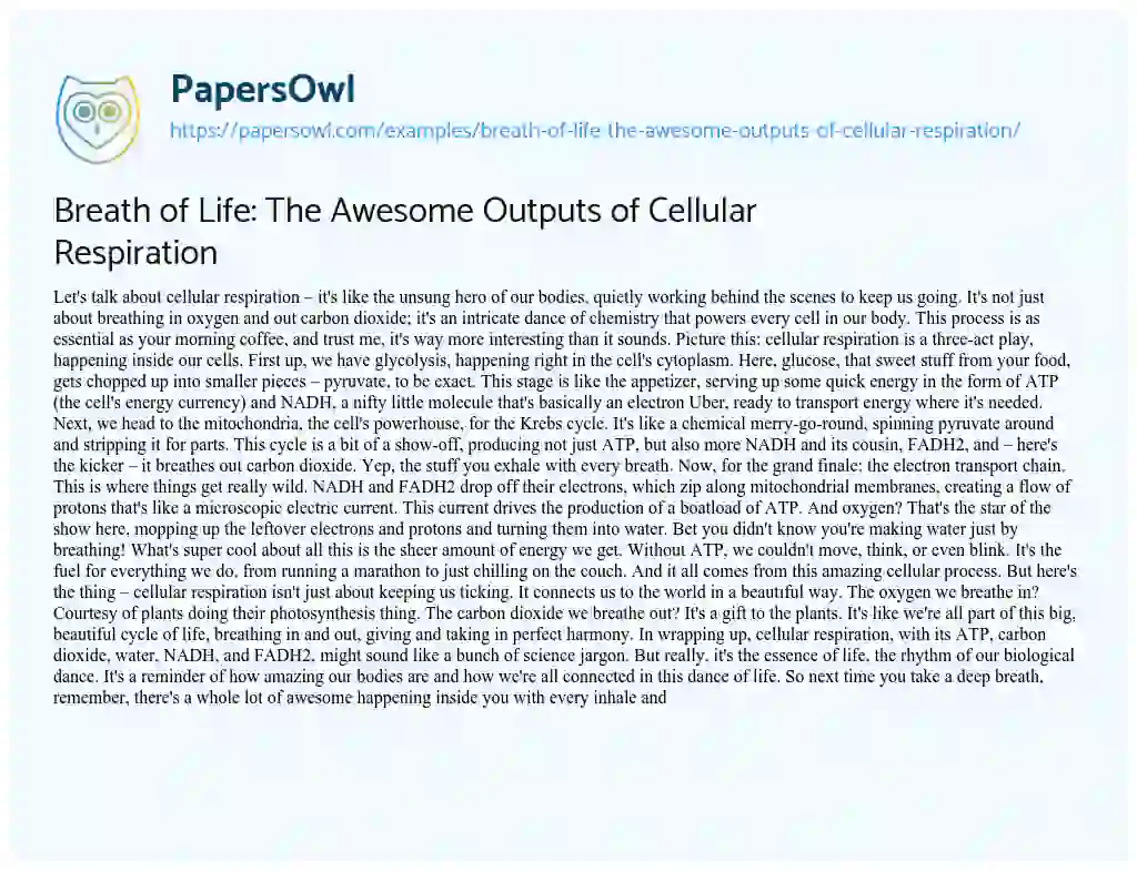 Essay on Breath of Life: the Awesome Outputs of Cellular Respiration