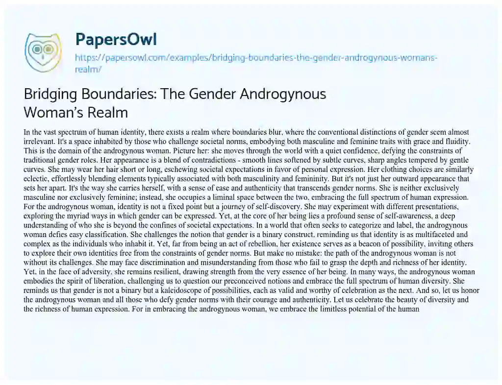 Essay on Bridging Boundaries: The Gender Androgynous Woman’s Realm