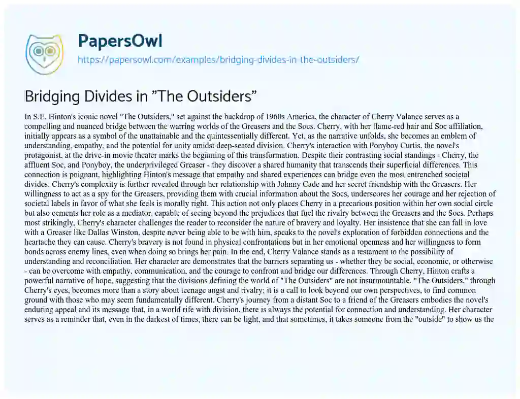 Essay on Bridging Divides in “The Outsiders”