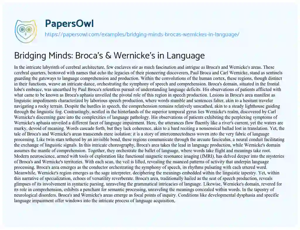 Essay on Bridging Minds: Broca’s & Wernicke’s in Language