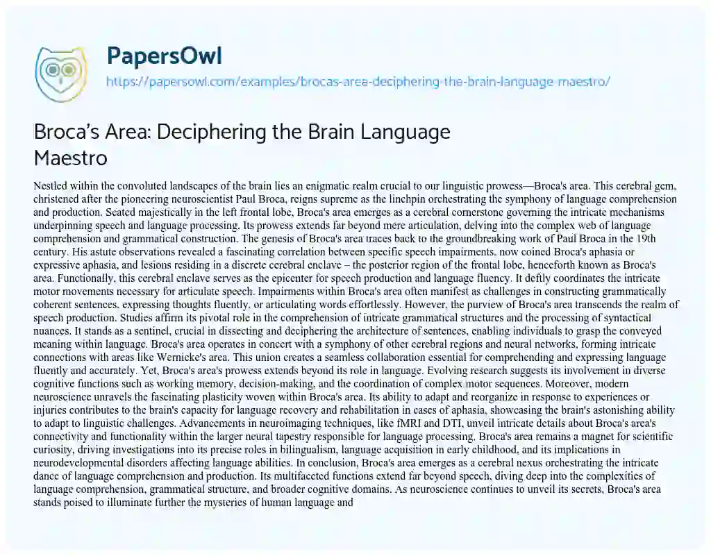 Essay on Broca’s Area: Deciphering the Brain Language Maestro