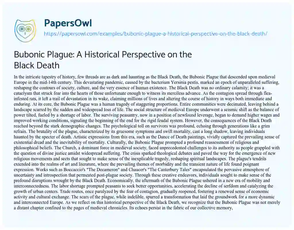 Essay on Bubonic Plague: a Historical Perspective on the Black Death