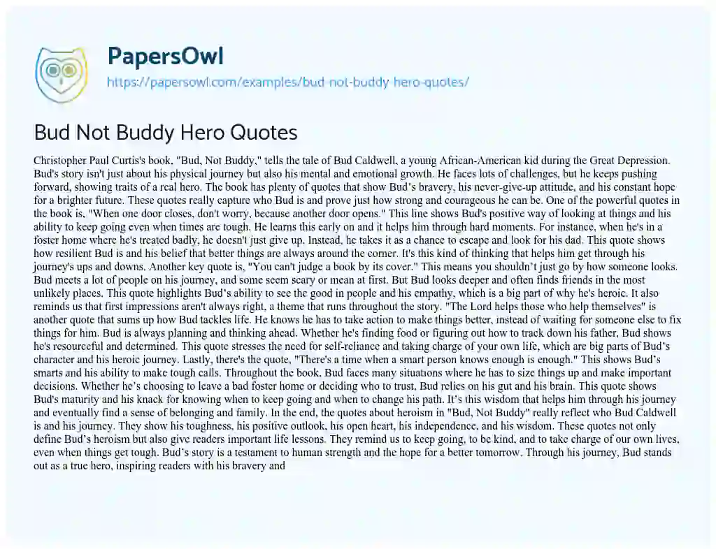 Essay on Bud not Buddy Hero Quotes