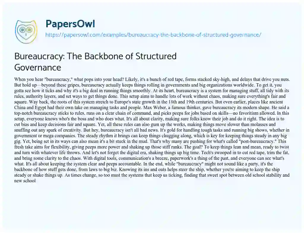 Essay on Bureaucracy: the Backbone of Structured Governance