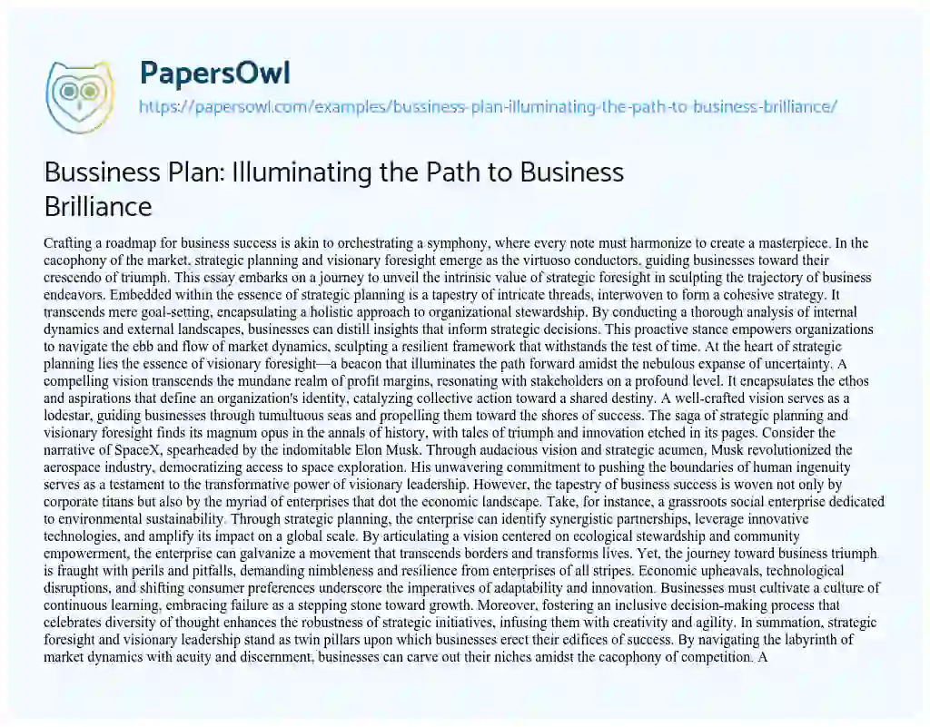 Essay on Bussiness Plan: Illuminating the Path to Business Brilliance