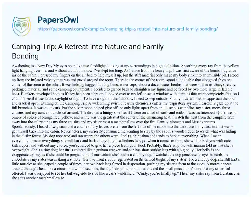 Essay on Camping Trip: a Retreat into Nature and Family Bonding