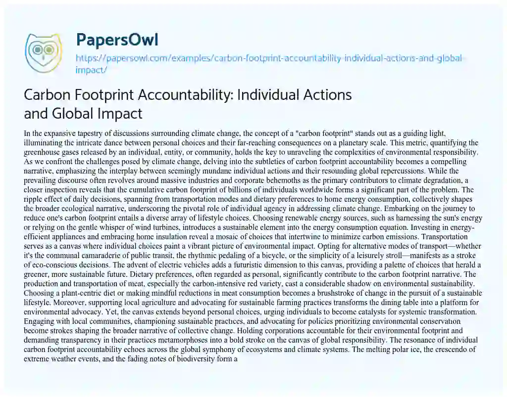 Essay on Carbon Footprint Accountability: Individual Actions and Global Impact