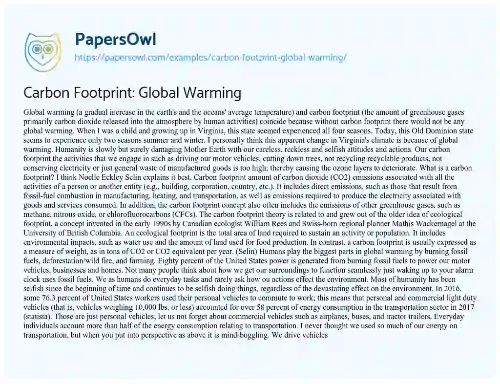Carbon Footprint: Global Warming essay