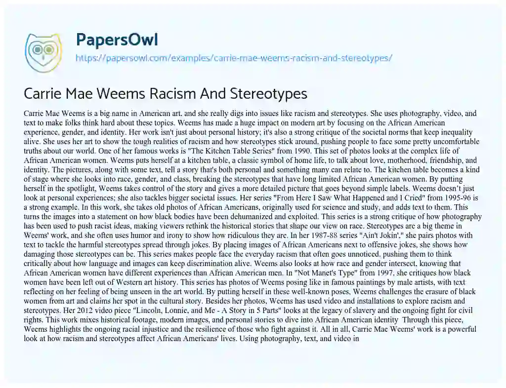 Essay on Carrie Mae Weems Racism and Stereotypes