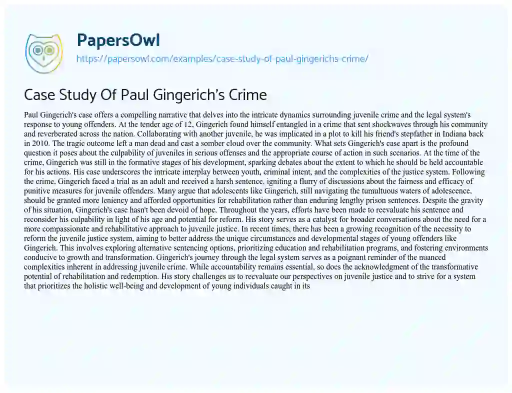Essay on Case Study of Paul Gingerich’s Crime