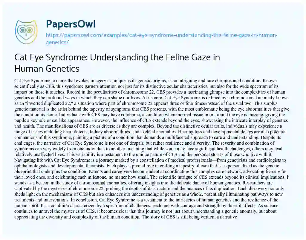 Essay on Cat Eye Syndrome: Understanding the Feline Gaze in Human Genetics
