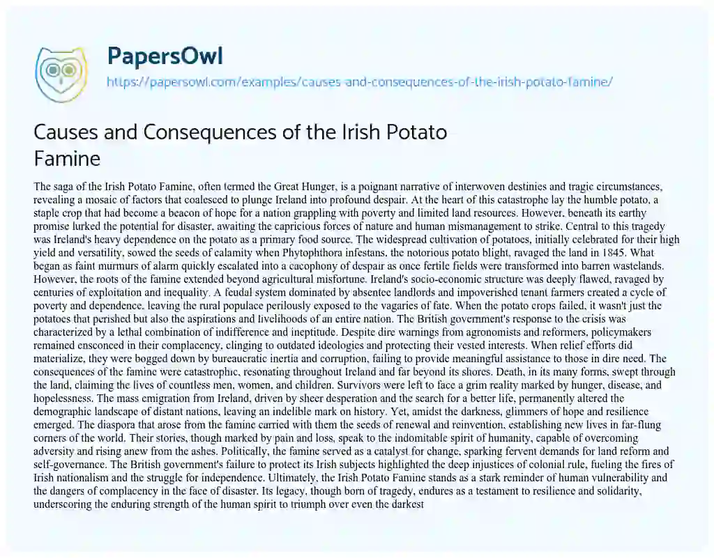 Essay on Causes and Consequences of the Irish Potato Famine